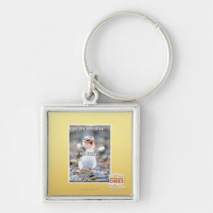 Chaveiro Tema o felpudo!