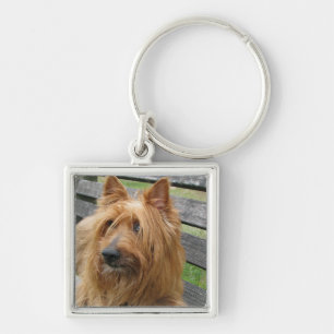 Chaveiro terrier australiano no banco.png