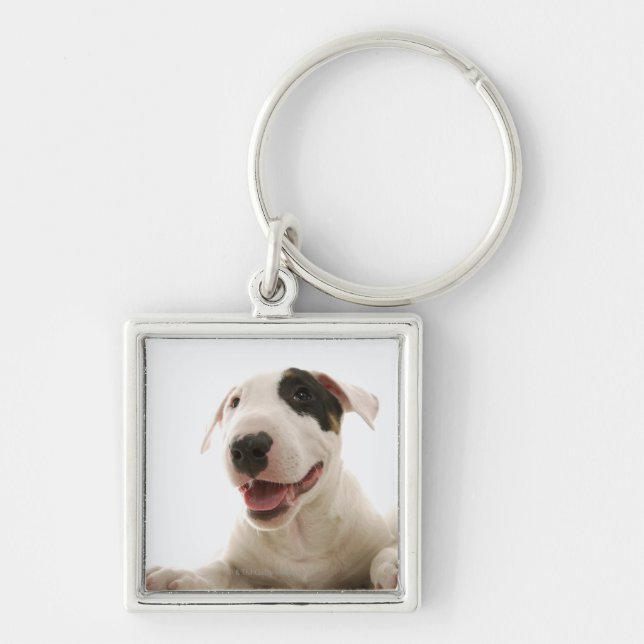 Chaveiro Terrier de Bull (Frente)