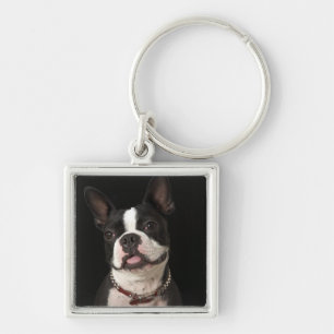 Chaveiro Terrier de sorriso de Boston com colar