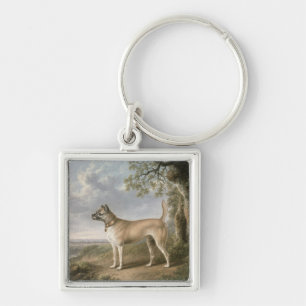 Chaveiro Terrier em um trajeto em uma paisagem arborizada