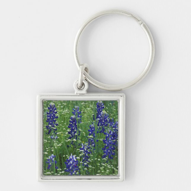 Chaveiro Texas, Lago Buchanan. Texas Bluebonnet e Selvagem (Frente)
