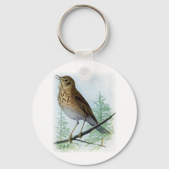 Chaveiro Thrush apoiado pelo Russet (Frente)