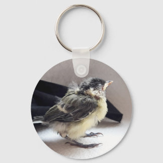 Chaveiro Tidi, meu Pássaro, o Parus Major