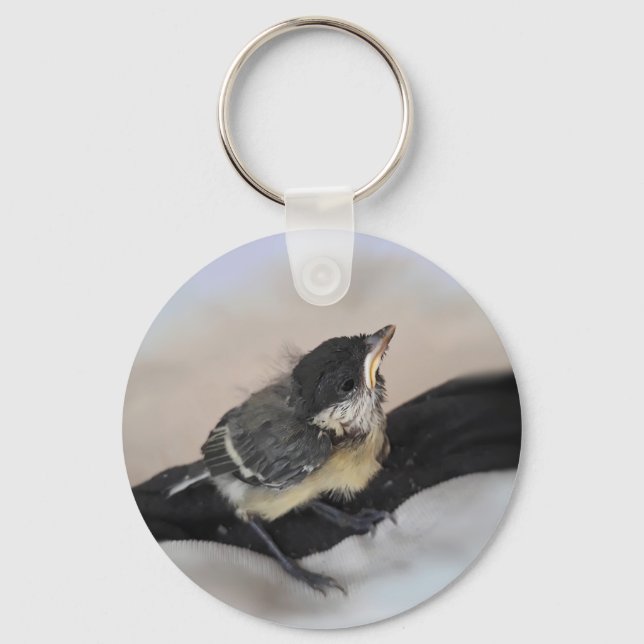 Chaveiro Tidi, meu Pássaro, o Parus Major (Frente)