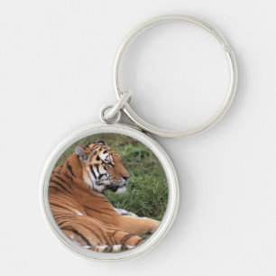 Chaveiro Tiger