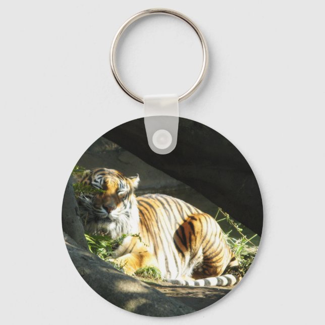 Chaveiro Tiger Catnap (Frente)