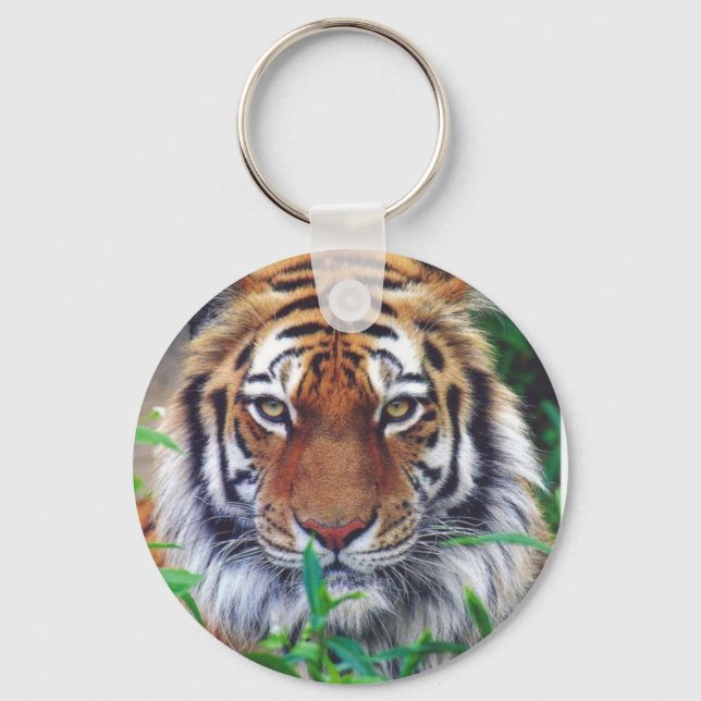 Chaveiro Tiger Stare (Frente)