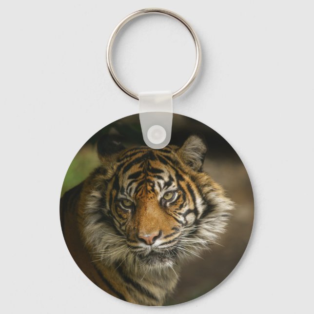Chaveiro Tiger Stare (Frente)