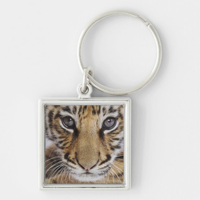 Chaveiro Tigre Cub (Frente)