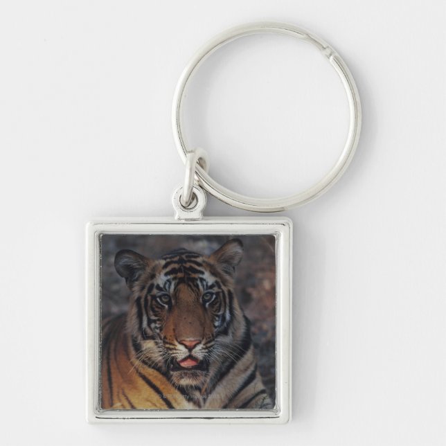 Chaveiro Tigre Cub de Bengal (Frente)