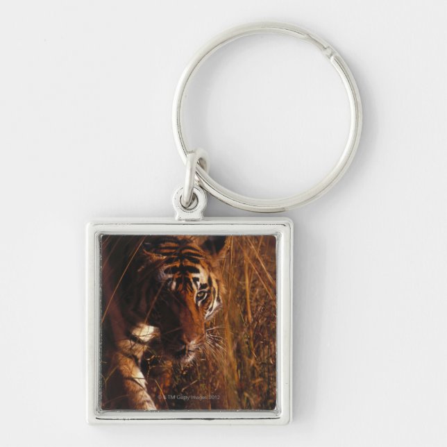 Chaveiro Tigre de Bengal (Frente)