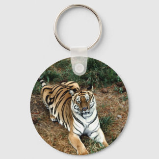 Chaveiro Tigre de Bengala