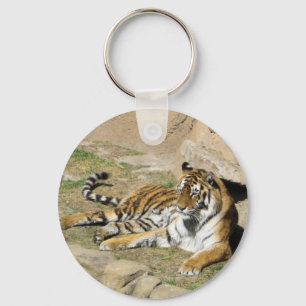Chaveiro Tigre de dormir