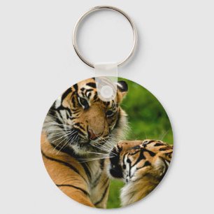 Chaveiro Tigre do tigre