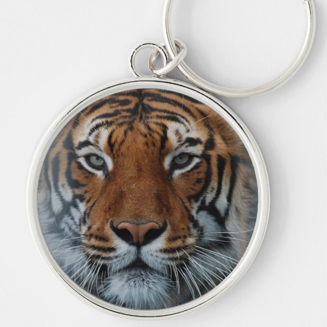 Chaveiro Tigre Gato Stripes Selvagem (Frente)
