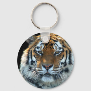 Chaveiro Tigre majestoso de Sumatran