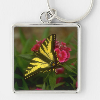 Chaveiro Tigre ocidental Swallowtail (7)