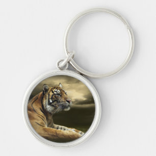Chaveiro Tigre que olha e que senta-se sob o céu dramátic