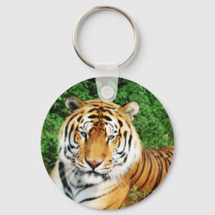 Chaveiro Tigre que relaxa