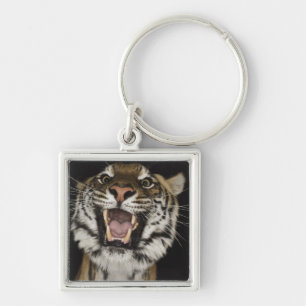 Chaveiro Tigre que ruje 2