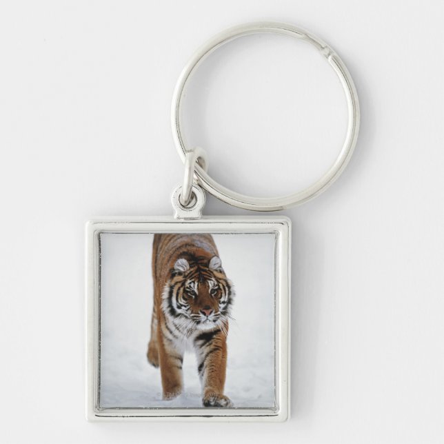 Chaveiro Tigre Siberian na neve (Frente)