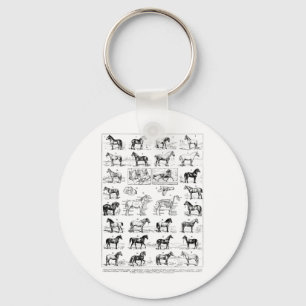 Chaveiro Tipos De Vintagem De Cavalos Ridi
