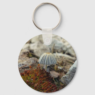 Chaveiro Toadstool pequenina