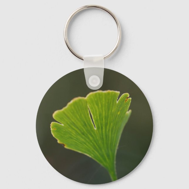 Chaveiro Toque de Chave Folha do Ginkgo (Frente)