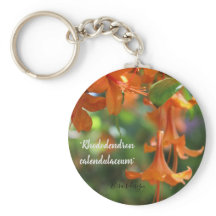 Toque de Tecla de Botão