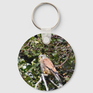 Chaveiro Toque de Tecla do Botão do Kestrel