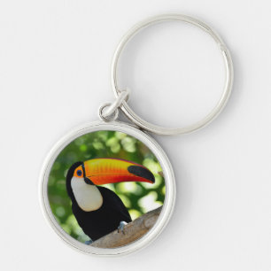 Chaveiro Toucan