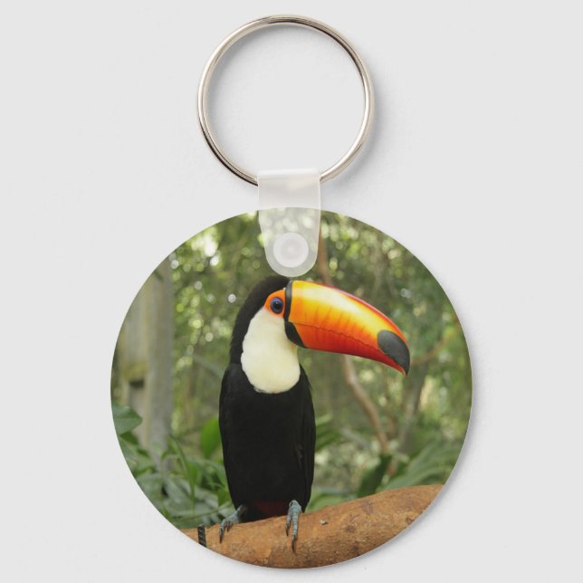 Chaveiro Toucan na ramificação da árvore (Frente)