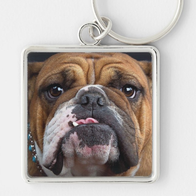 Chaveiro Travesseiro Decorativo Bulldog Inglês (Frente)