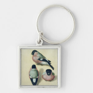 Chaveiro Três estudos de um bullfinch