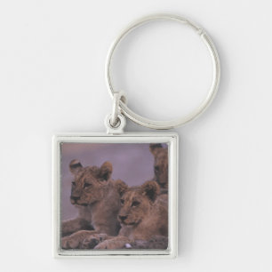 Chaveiro Três leão Cubs
