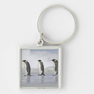 Chaveiro Três pinguins de imperador, ilha do monte da neve