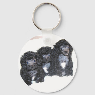 Chaveiro Três pretos/filhotes de cachorro de prata da