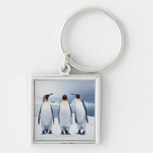 Chaveiro Três rei pinguins