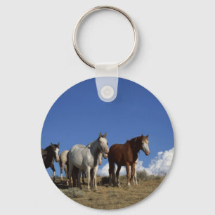 Chaveiro Trio do cavalo