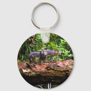 CHAVEIRO TRONCO DE CAUDA FOX