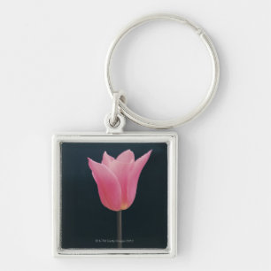 Chaveiro Tulipa 2