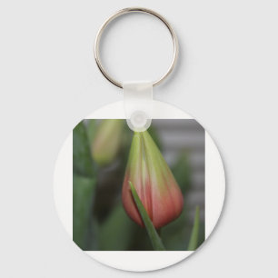 Chaveiro Tulipa Budding nº 2