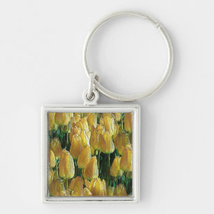 Chaveiro Tulipas Amarelas Sunshine
