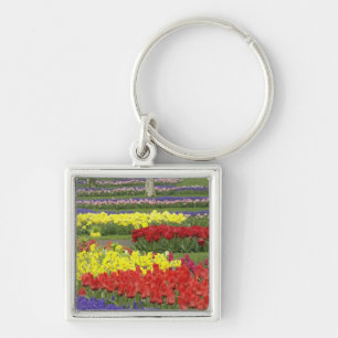 Chaveiro Tulipas, Jacintos de Uva e Narcisos, 2