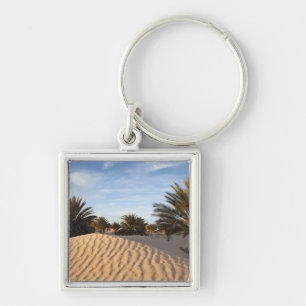 Chaveiro Tunísia, Deserto do Saara, Douz, Grande Duna, palm