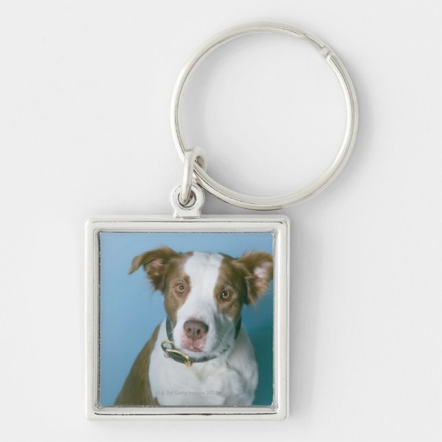Chaveiro Um cão (Frente)