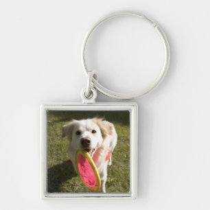 Chaveiro Um cão com um frisbee