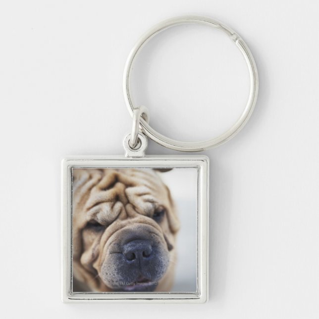 Chaveiro Um cão, fim-acima (Frente)