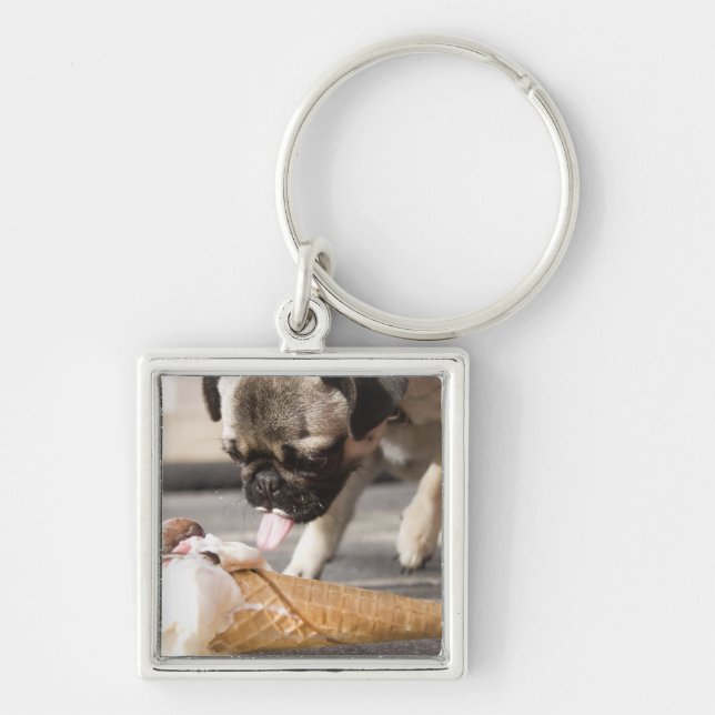 Chaveiro Um cão que come um sorvete de um pavimento (Frente)